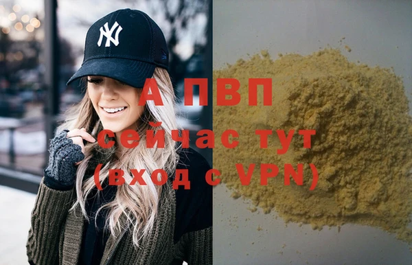 ГАЛЛЮЦИНОГЕННЫЕ ГРИБЫ Карталы