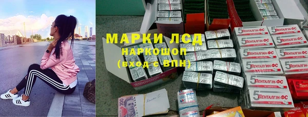 молекула духа Каменногорск