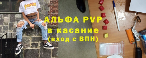 дурь Карпинск