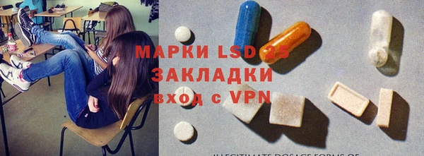 ГАЛЛЮЦИНОГЕННЫЕ ГРИБЫ Карталы