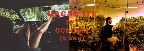 ГАЛЛЮЦИНОГЕННЫЕ ГРИБЫ Карталы