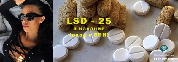 ГАЛЛЮЦИНОГЕННЫЕ ГРИБЫ Карталы