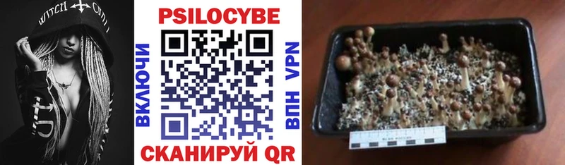 Псилоцибиновые грибы прущие грибы  Купить закладки  Лысково 